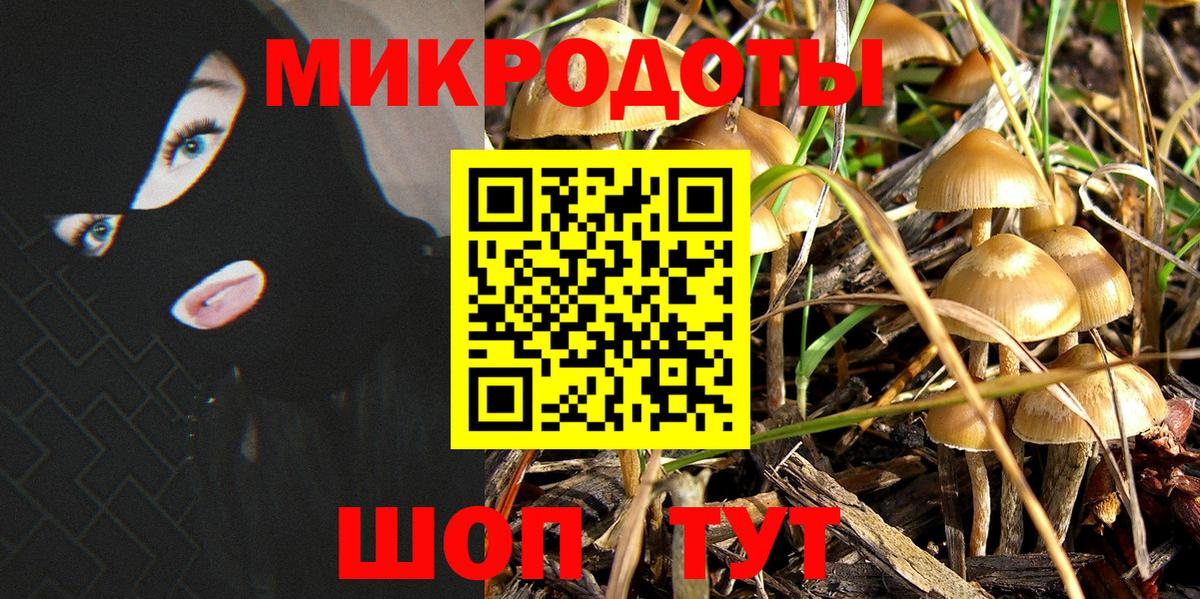 магазин  наркотиков  Вход с VPN  Ноябрьск  Галлюциногенные грибы Cubensis 