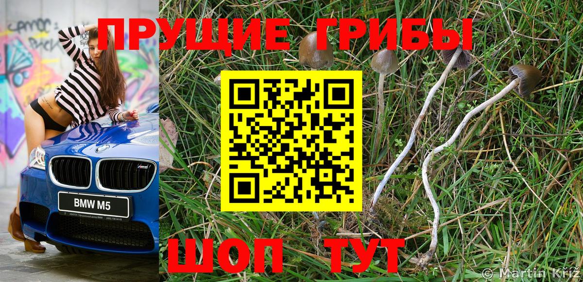 Псилоцибиновые грибы мухоморы Ноябрьск